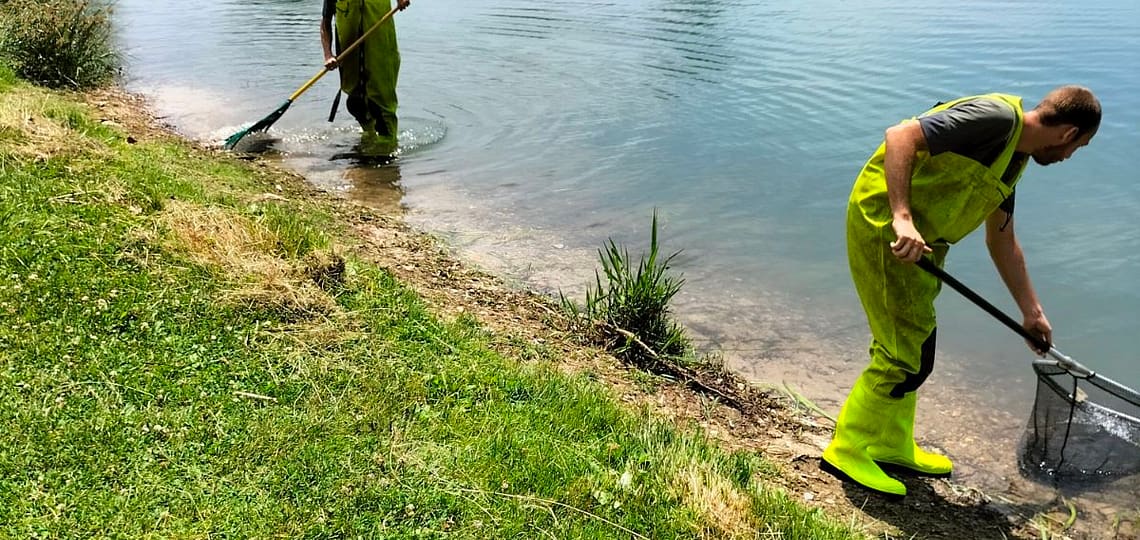 Nettoyage des algues à Bègles plage - Arcins Environnement service