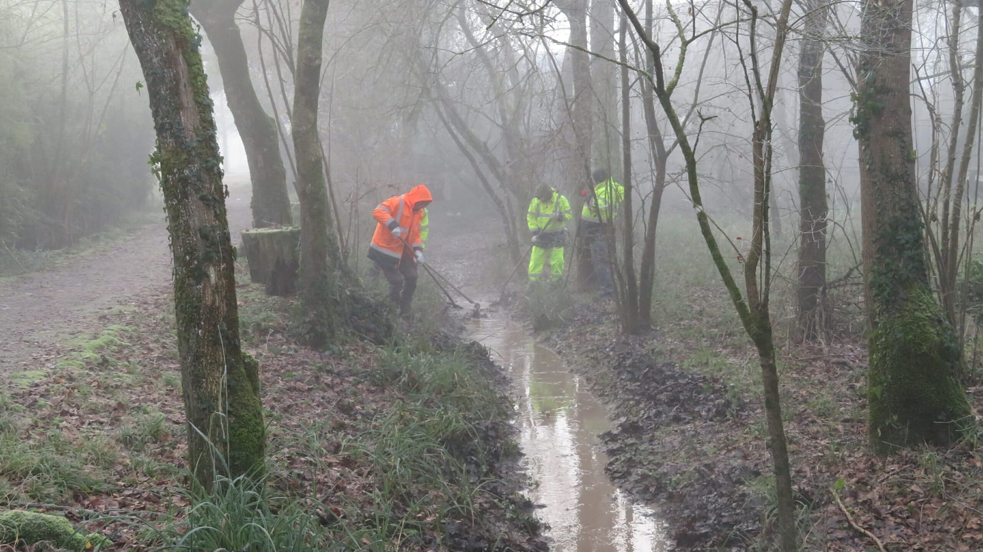 Nettoyage du lit mineur des petits fossés - Arcins Environnement service