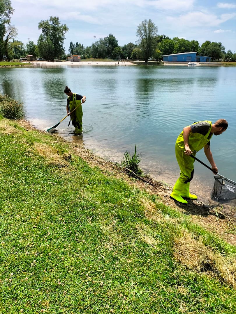 Enlèvement des algues au lac de Bègles