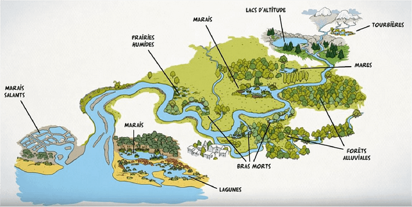 Schéma du circuit de l'eau - Arcins Environnement service